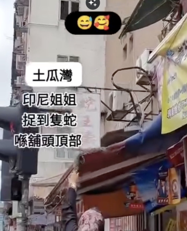 啟德港鐵站驚現大長蛇嚇壞市民！目擊者見阿sir用紙皮箱制服