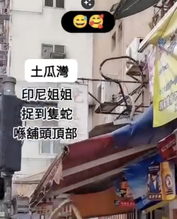 啟德港鐵站驚現大長蛇嚇壞市民！目擊者見阿sir用紙皮箱制服
