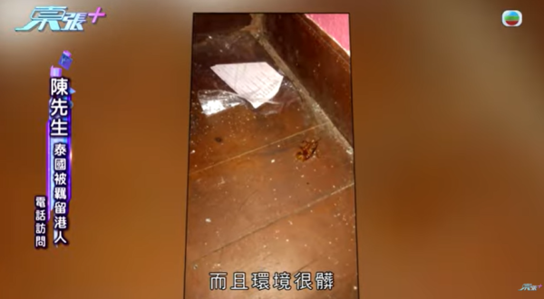 港人泰國旅行變噩夢,圖片來源︰東張西望。 港人泰國旅行變噩夢,圖片來源︰東張西望。