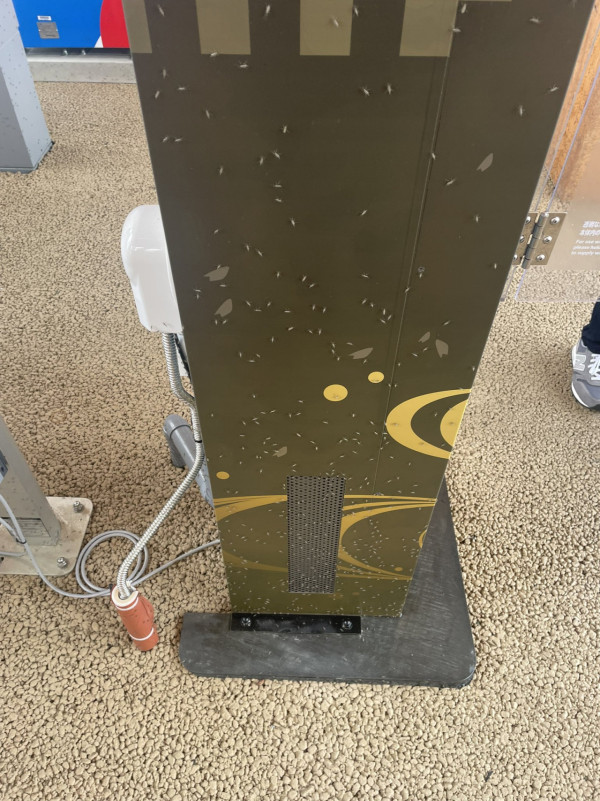 有片慎入！ 大阪世博會場驚見密密麻麻飛蟲！ 網民稱不敢去廁所 門前猶如「昆蟲結界」 