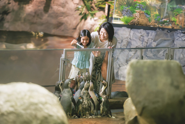 沖繩DMM Kariyushi水族館新區域登場，零距離同水獺樹懶、迷你豬互動！【附南部親子遊景點推介】 