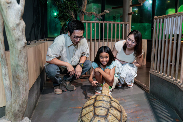 沖繩DMM Kariyushi水族館新區域登場，零距離同水獺樹懶、迷你豬互動！【附南部親子遊景點推介】 