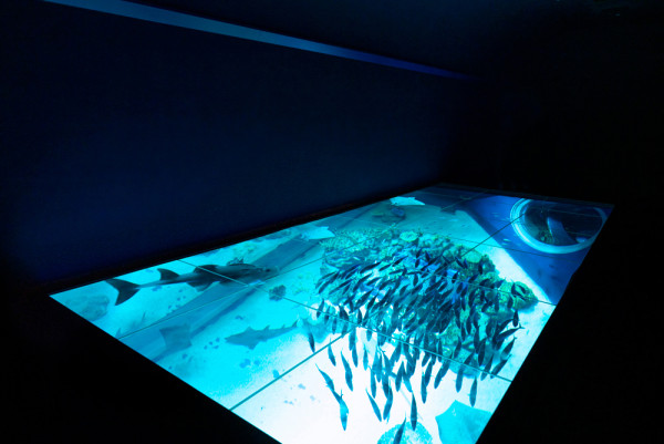 沖繩DMM Kariyushi水族館新區域登場，零距離同水獺樹懶、迷你豬互動！【附南部親子遊景點推介】 