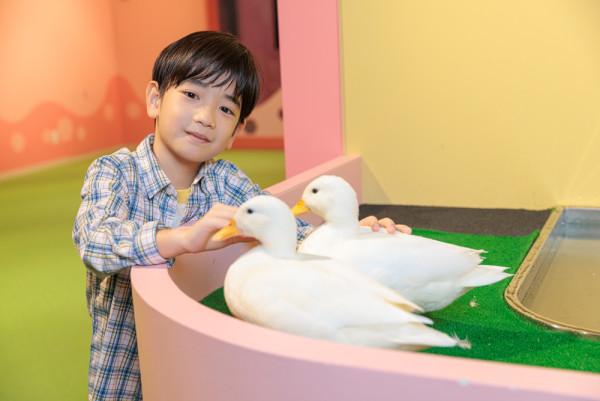 沖繩DMM Kariyushi水族館新區域登場，零距離同水獺樹懶、迷你豬互動！【附南部親子遊景點推介】 