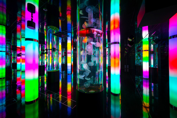 沖繩DMM Kariyushi水族館新區域登場，零距離同水獺樹懶、迷你豬互動！【附南部親子遊景點推介】 