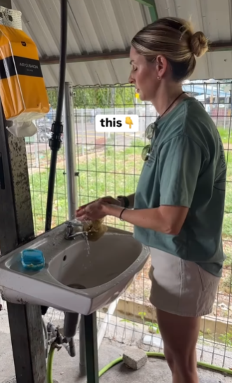 每次吃飯前都要洗手。（圖片來源︰IG@celtsontheroad）