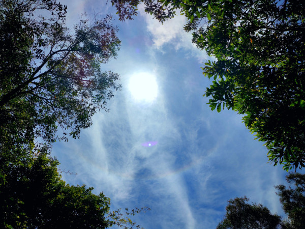 大嶼山罕現「日暈」天文台拆解彩虹圍繞太陽奇景