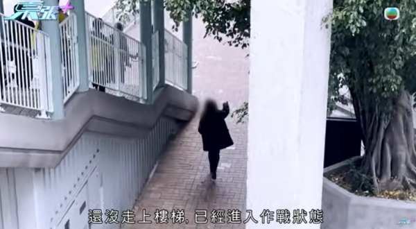 大圍「伸拳姐」無差分攻擊，圖片來源︰東張西望。