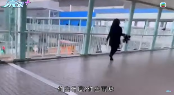 大圍「伸拳姐」無差分攻擊，圖片來源︰東張西望。