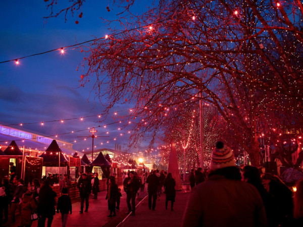 澳洲塔斯馬尼亞6大冬季特色活動！酒鬼最愛威士忌周、勇士挑戰裸游冬泳 