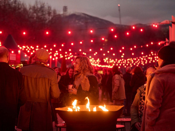 澳洲塔斯馬尼亞6大冬季特色活動！酒鬼最愛威士忌周、勇士挑戰裸游冬泳 