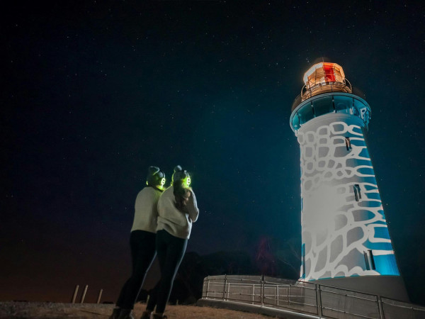 澳洲塔斯馬尼亞6大冬季特色活動！酒鬼最愛威士忌周、勇士挑戰裸游冬泳 