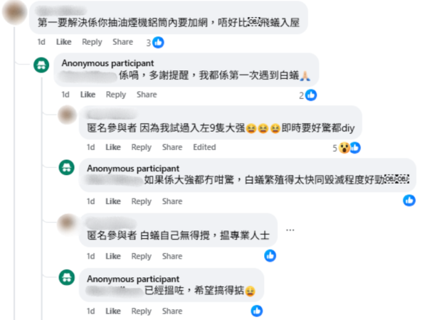 旅行回家竟被飛蟻大肆入侵，來源︰Facebook@香港滅蟲關注組。