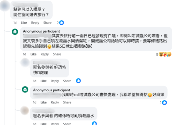 旅行回家竟被飛蟻大肆入侵，來源︰Facebook@香港滅蟲關注組。