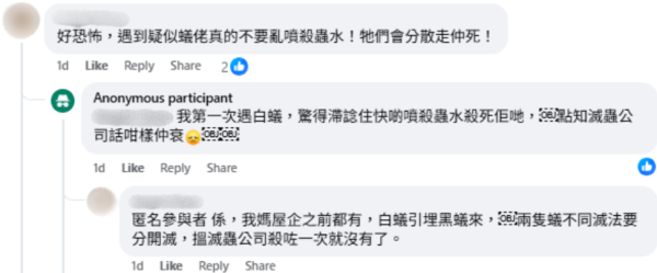 旅行回家竟被飛蟻大肆入侵，來源︰Facebook@香港滅蟲關注組。