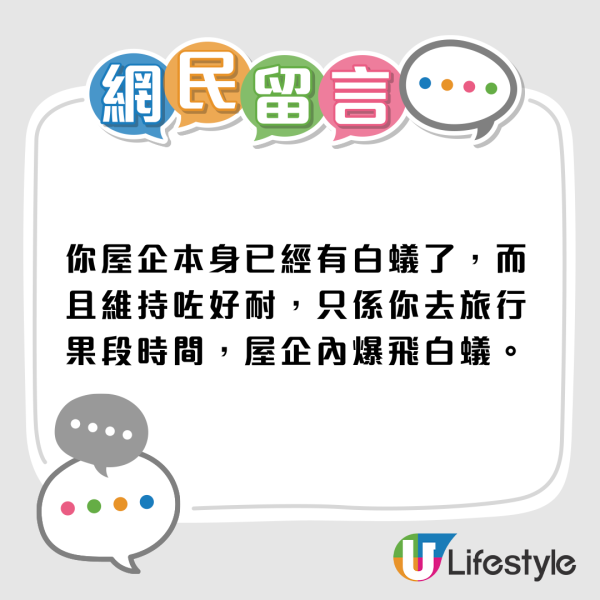 旅行回家揭被飛蟻大肆入侵！ 驚現蟻道兼佈滿飛蟻屍體！做錯一事令情況惡化：滅蟲公司話咁樣仲衰...