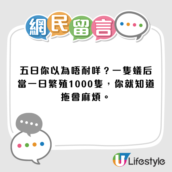 旅行回家揭被飛蟻大肆入侵！ 驚現蟻道兼佈滿飛蟻屍體！做錯一事令情況惡化：滅蟲公司話咁樣仲衰...