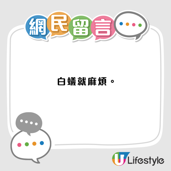 旅行回家揭被飛蟻大肆入侵！ 驚現蟻道兼佈滿飛蟻屍體！做錯一事令情況惡化：滅蟲公司話咁樣仲衰...