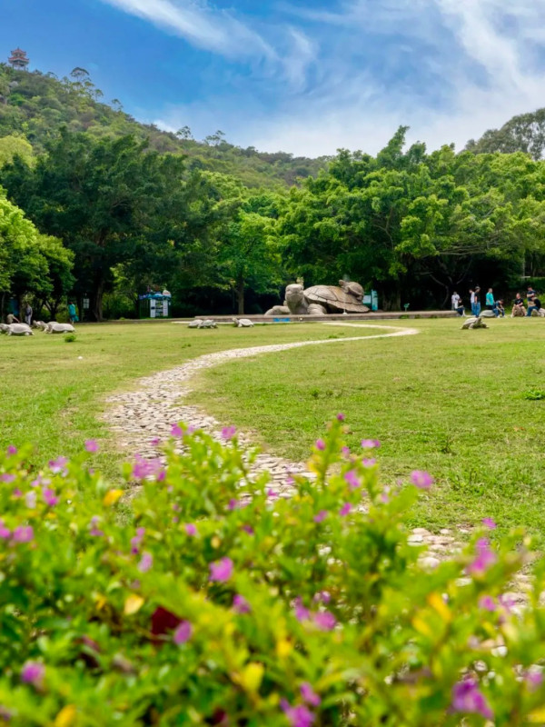 汕頭好去處|汕頭旅遊15大景點推介!汕頭旅社/媽嶼島/小公園 附汕頭夜市/交通/酒店