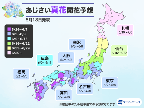 2025日本繡球花花期預測（圖片來源：Weathernews）
