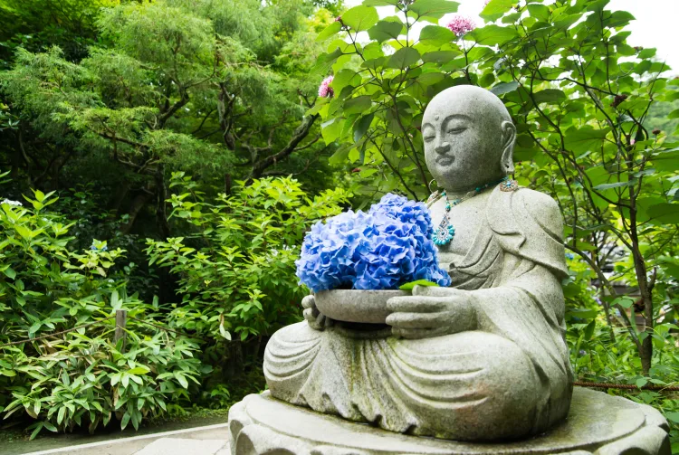 鎌倉明月院（圖片來源：日本觀光局）