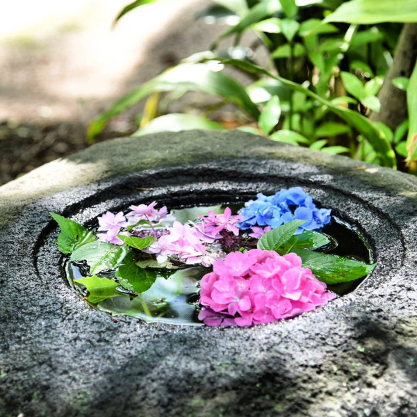 筥崎宮（圖片來源：X@hakozakigu_offi）