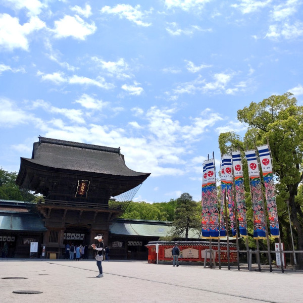 筥崎宮（圖片來源：X@hakozakigu_offi）