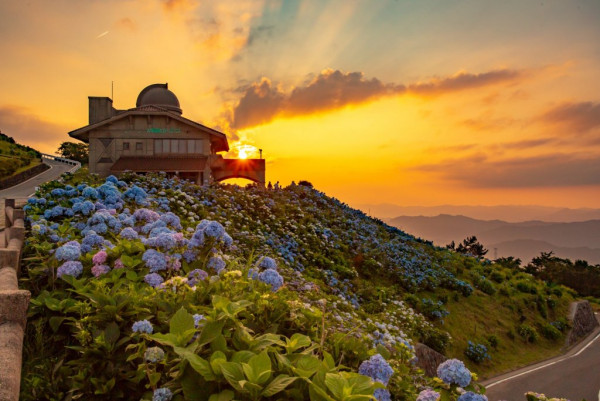 大川原高原（圖片來源：四國觀光推進機構）