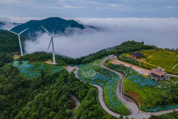 大川原高原（圖片來源：四國觀光推進機構）