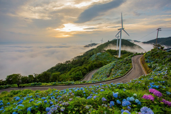 大川原高原（圖片來源：四國觀光推進機構）