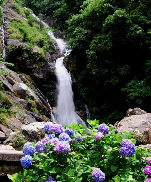 見返瀑布（圖片來源：佐賀縣公式觀光網站）