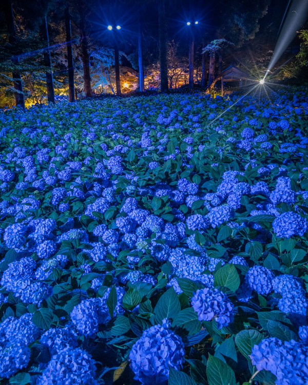 雲昌寺（圖片來源：Facebook@雲昌寺 ）