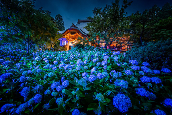雲昌寺（圖片來源：Facebook@雲昌寺 ）