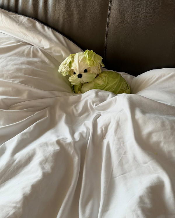 讓人捨不得吃的迷你衣服！用麵粉做的「衣服麵」超可愛！「鞋子」也可以淥？ 