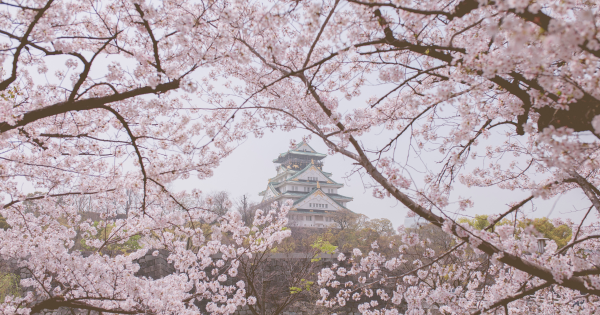4月訪日香港遊客創歷史新高！ 較去年同期激增約四成 3大因素吸引遊日！ 