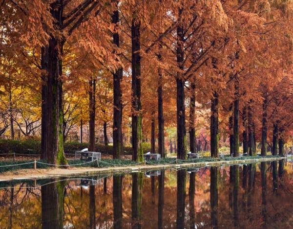 必食必買！ 首爾聖水洞景點攻略 燒海鮮／鹽麵包／文創Cafe 