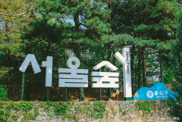 必食必買！ 首爾聖水洞景點攻略 燒海鮮／鹽麵包／文創Cafe 