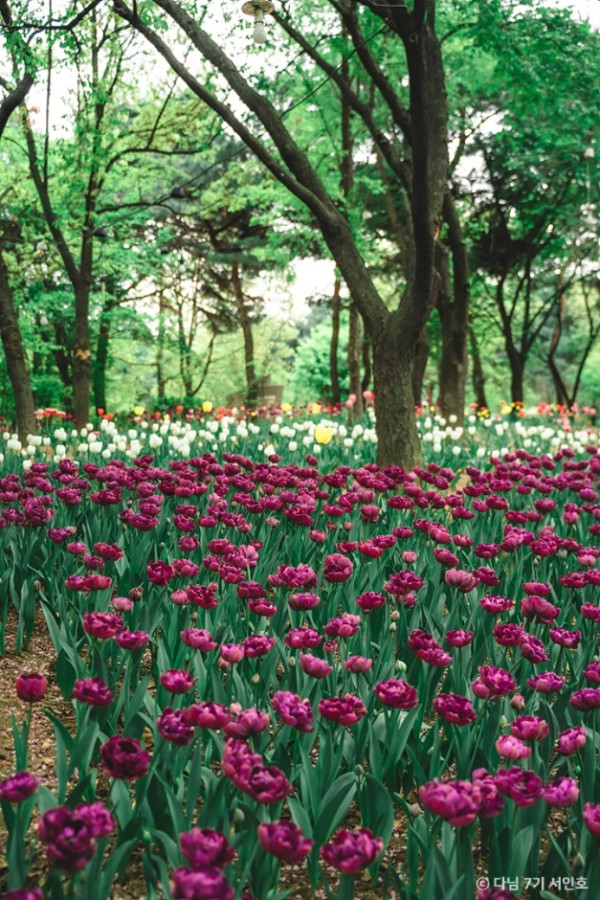 必食必買！ 首爾聖水洞景點攻略 燒海鮮／鹽麵包／文創Cafe 