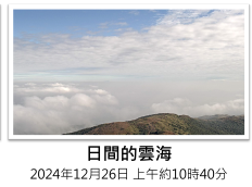 香港11大隱藏天氣秘境：大帽山雲海奇觀仲有「鵰兄」搶鏡？