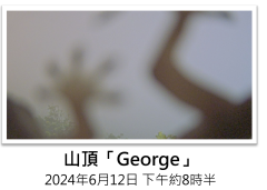香港11大隱藏天氣秘境：大帽山雲海奇觀仲有「鵰兄」搶鏡？