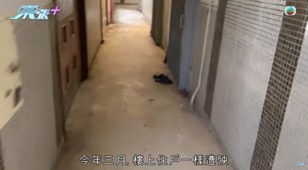 黃大仙現瘋狂鄰居極擾民，影片截圖，圖片來源︰東張西望。