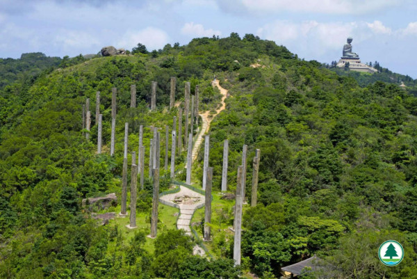 四山旅遊打卡！4條簡易行山路線最快‎1.5小時行完半日遊行程