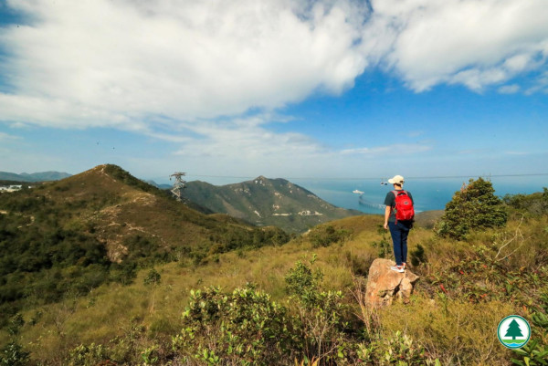 四山旅遊打卡！4條簡易行山路線最快‎1.5小時行完半日遊行程