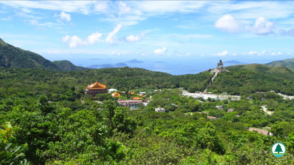 四山旅遊打卡！4條簡易行山路線最快‎1.5小時行完半日遊行程