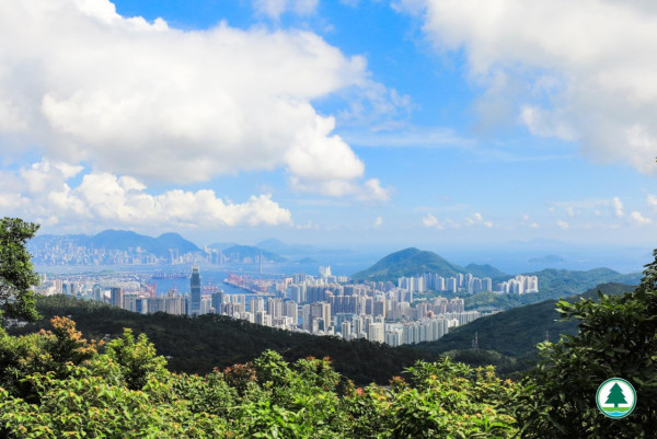 四山旅遊打卡！4條簡易行山路線最快‎1.5小時行完半日遊行程