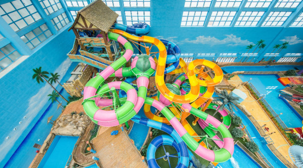 椰林穿梭(圖片來源:廣州融創文旅城) 椰林穿梭(圖片來源:廣州融創文旅城)