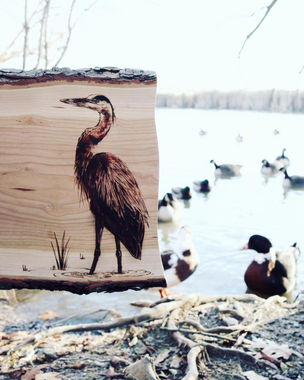 動物烙畫將廢棄木頭當畫布 醫科生變藝術家巧手還原大自然之美 