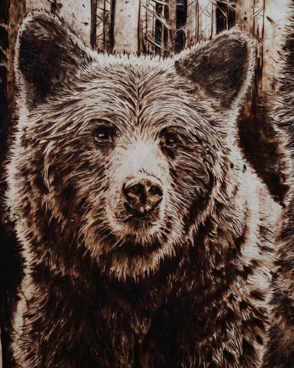 動物烙畫將廢棄木頭當畫布 醫科生變藝術家巧手還原大自然之美 