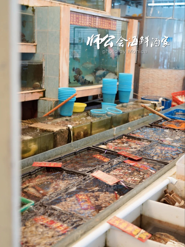 深圳海鮮｜深圳食海鮮餐廳推介9間！即撈即煮大排檔/火鍋/日式放題/炭燒海鮮 