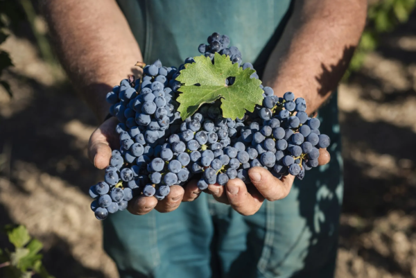 簡淑兒麥大力意大利城堡舉行婚禮！5大意大利城堡推薦 租借行禮預算幾錢起？ 